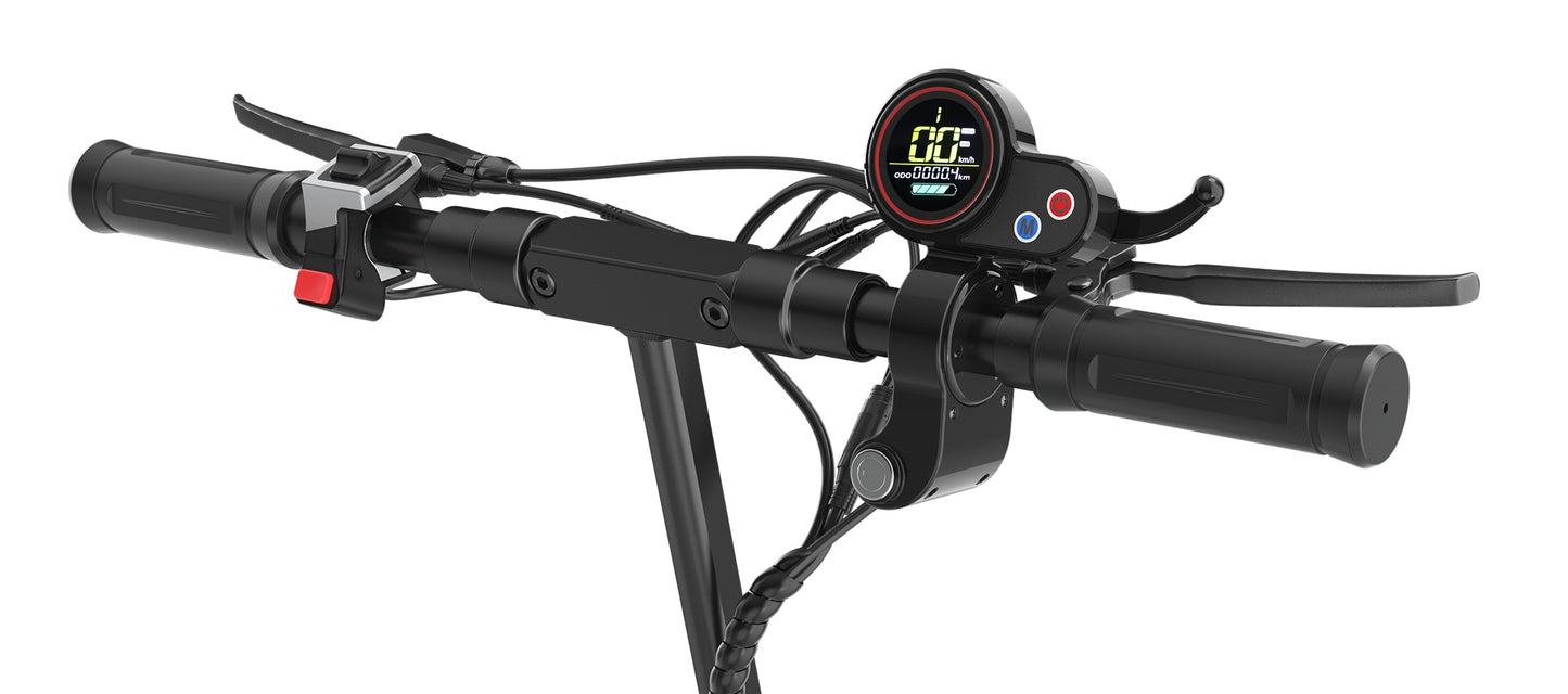 Monopattino elettrico, potenza motore 250 W, capacità batteria 48 V 10 Ah, dimensioni pneumatici 10 pollici, velocità massima 25 km.