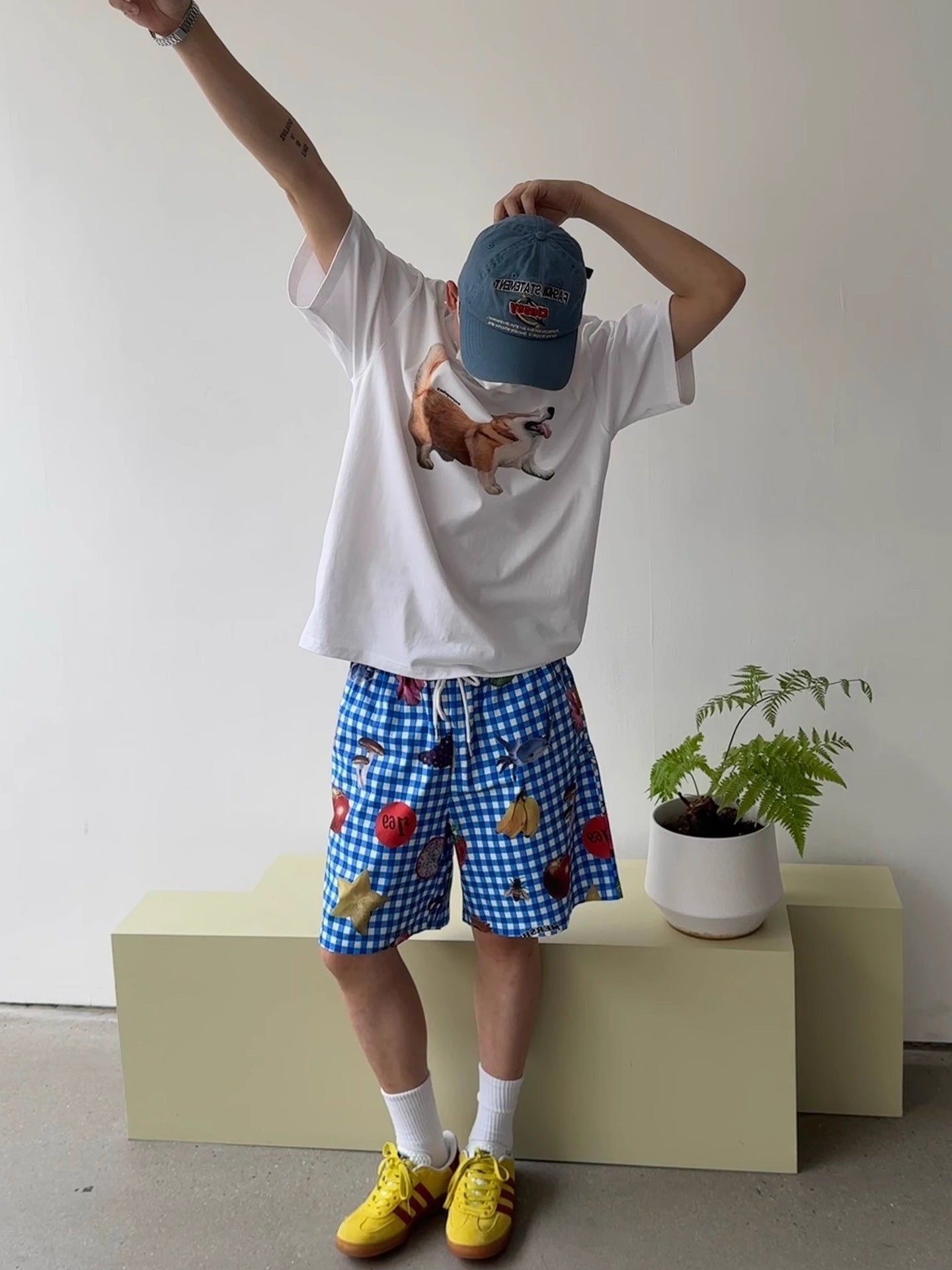 American Retro Blue Plaid Fruit Full Printed Shorts