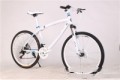 BMW Cross Country Mountainbike Doppelscheibenbremse