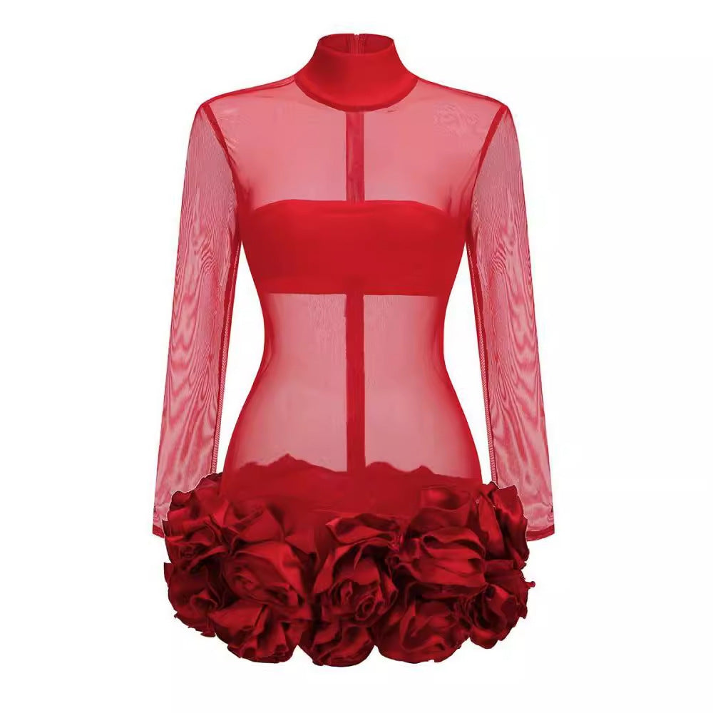 Turtleneck Long Sleeve Dress