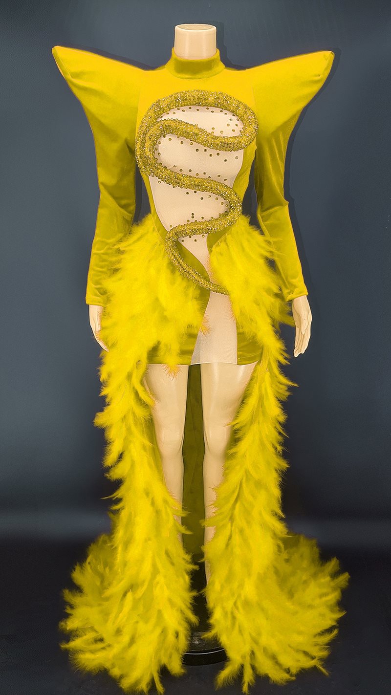 Robe de soirée en plumes et strass