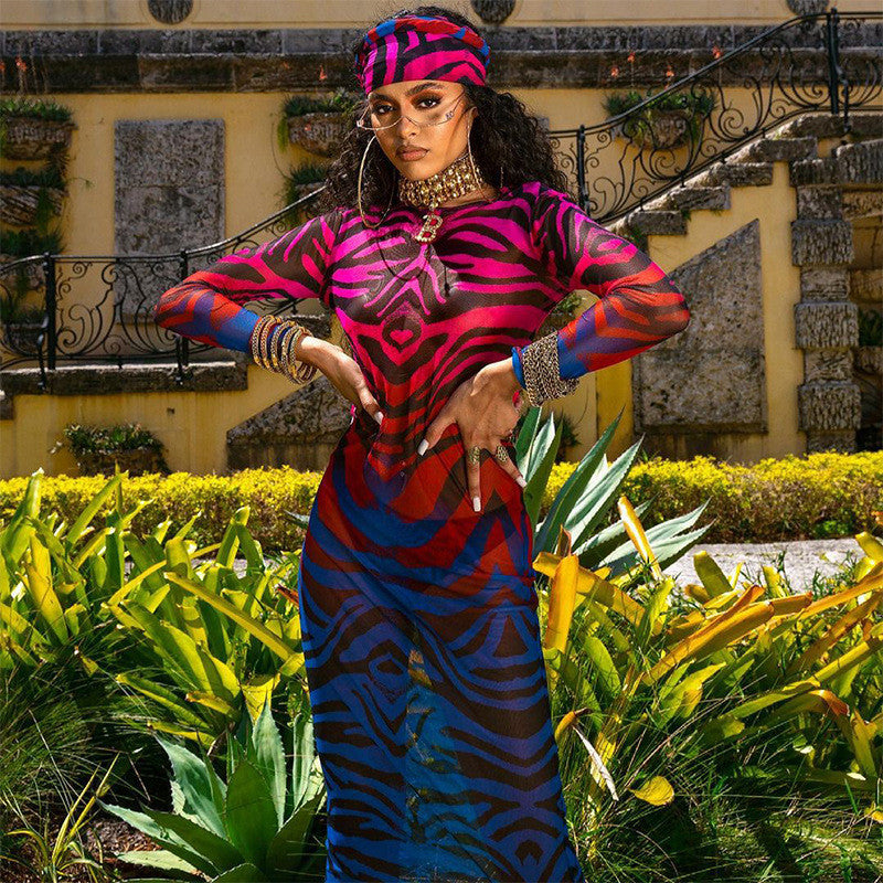 Sexy Mesh See-through Dress Printed Long-sleeved Midi Dress