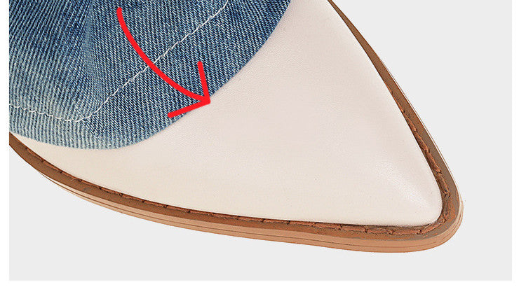 Boots With Pointed Toe And Thick Heel