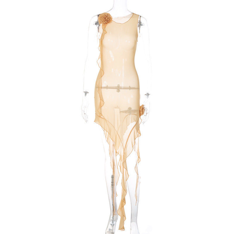 Sheer Mesh Dress Women's Clothing
