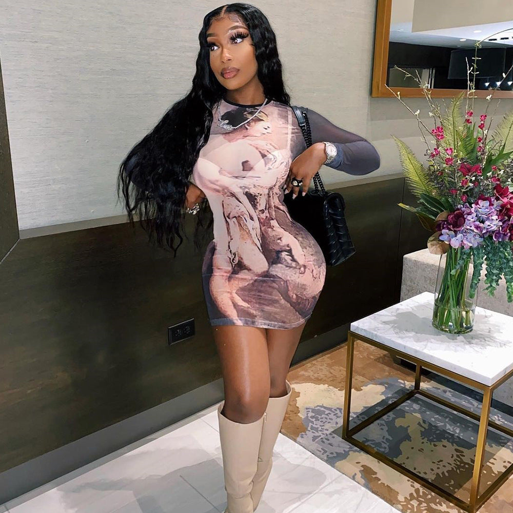 Mesh Floral Print Sheer Long Sleeve Dress