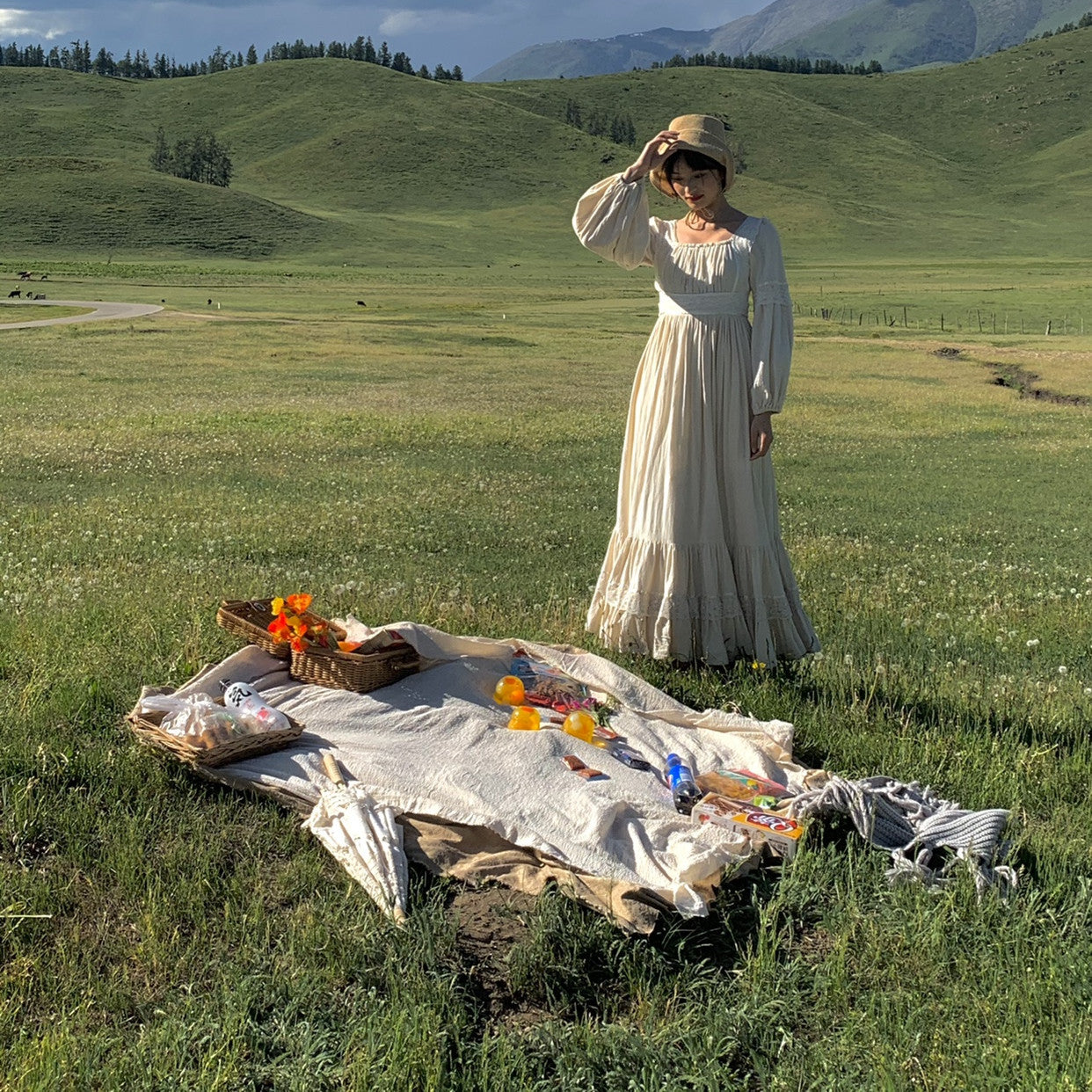 Ladies Antique Cotton Swing Dress