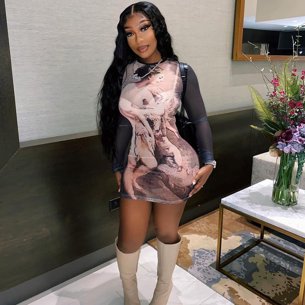 Mesh Floral Print Sheer Long Sleeve Dress