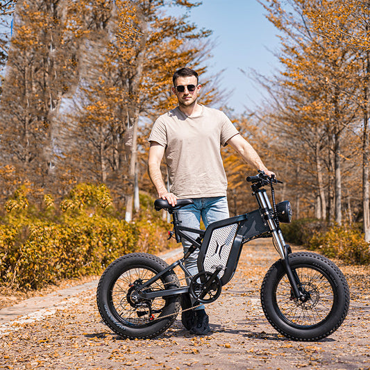 Assistance par batterie au lithium pour vélo électrique tout-terrain